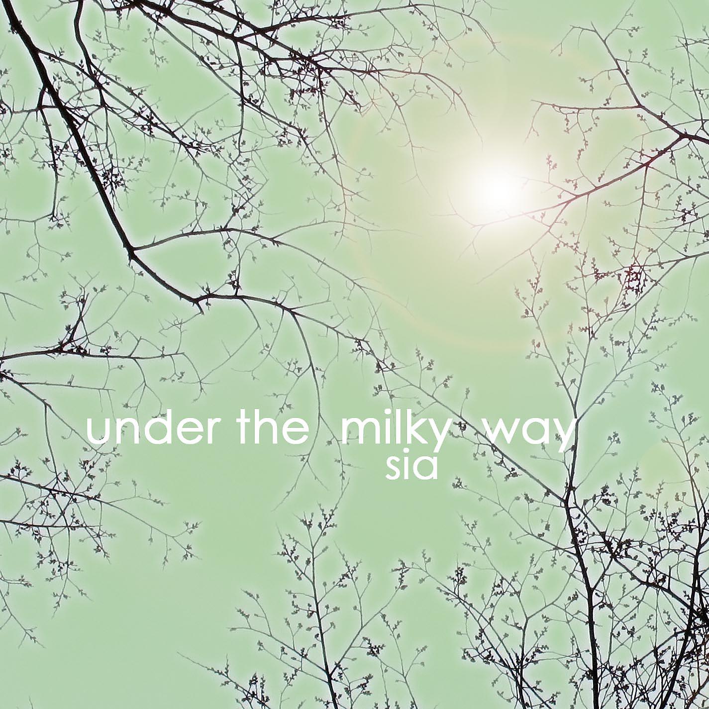 Постер альбома Under the Milky Way (Single Version)