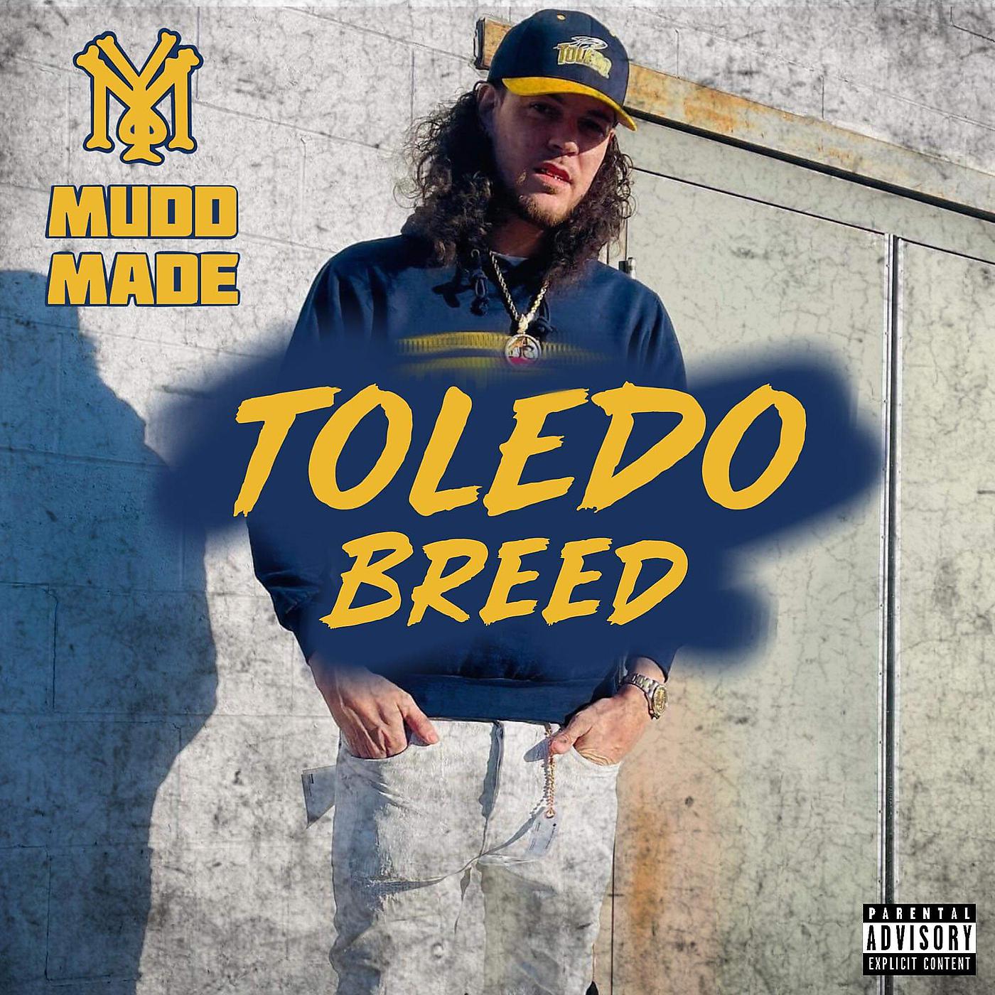 Постер альбома Toledo Breed