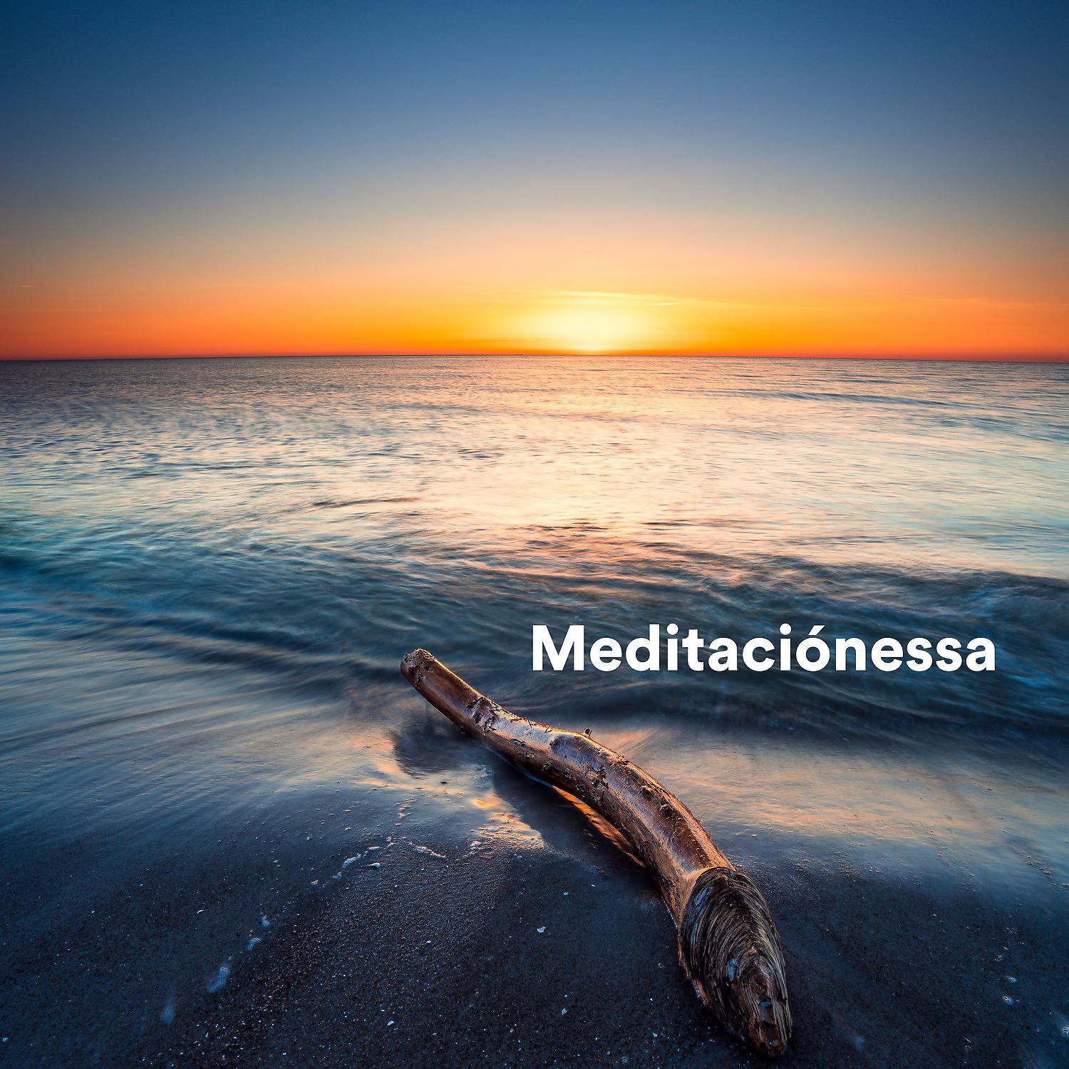 Постер альбома Meditaciónessa