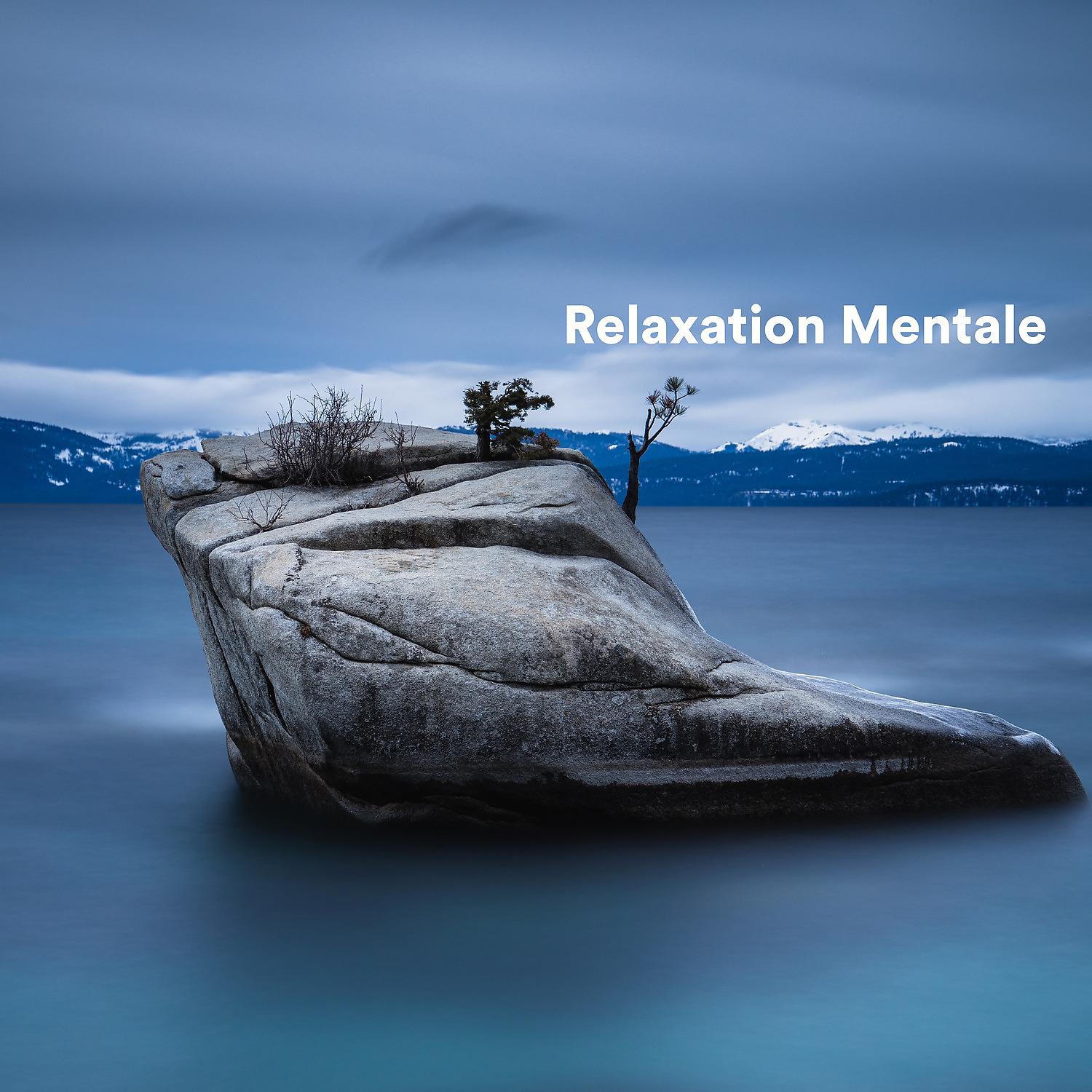 Постер альбома Relaxation Mentale