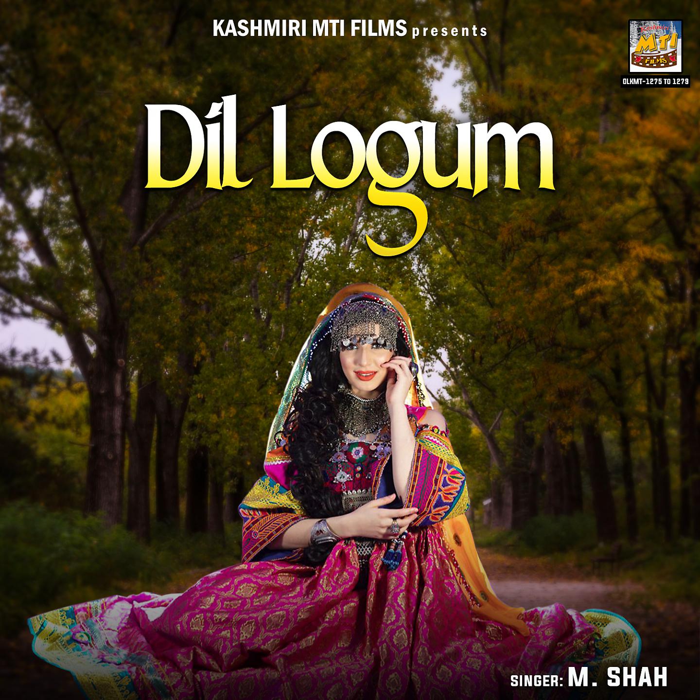 Постер альбома Dil Logum