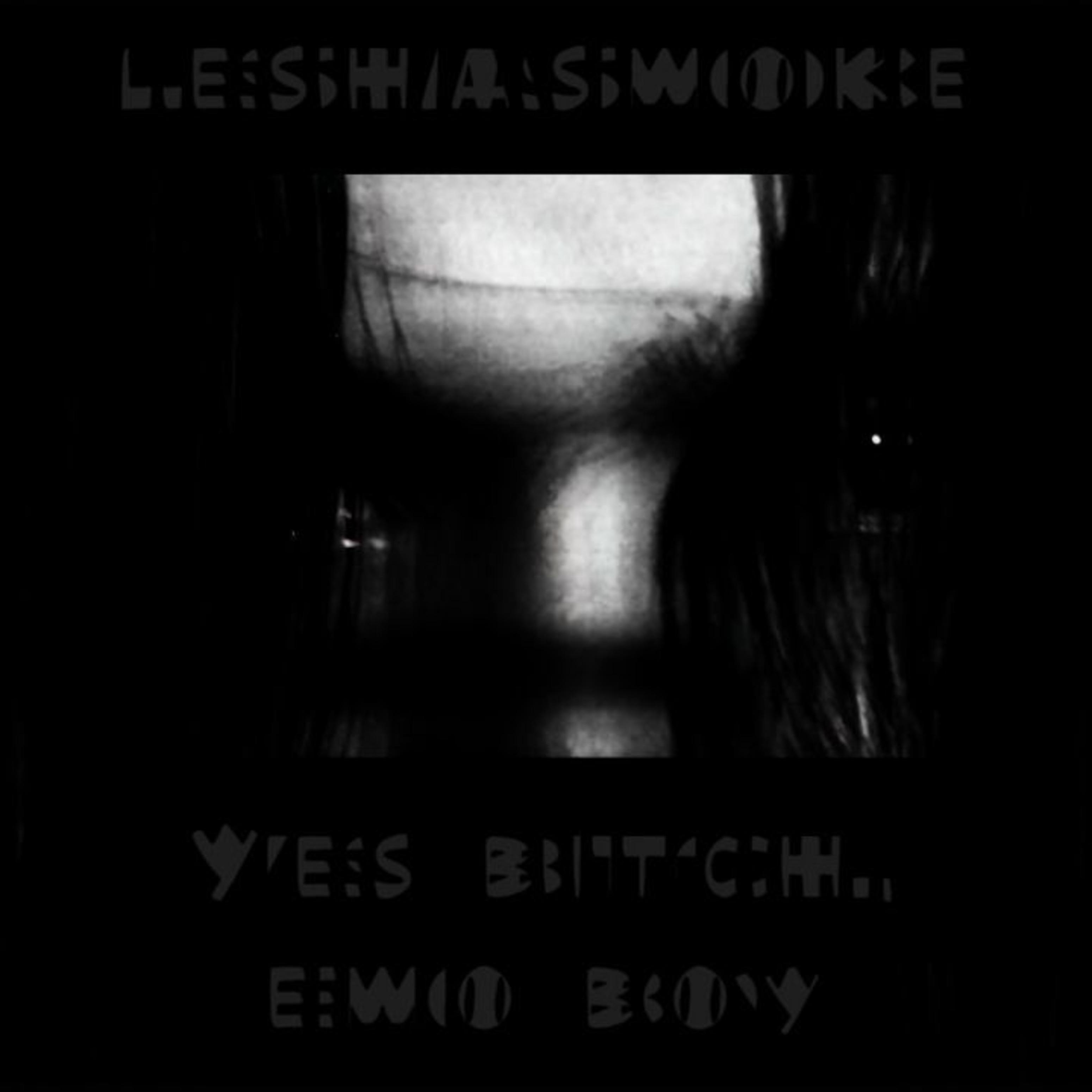 Постер альбома Yes Bitch, Emo Boy