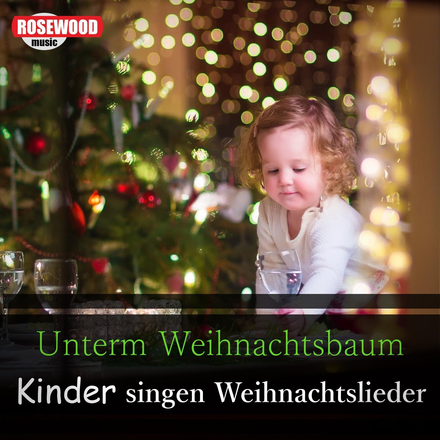 Постер альбома Unterm Weihnachtsbaum