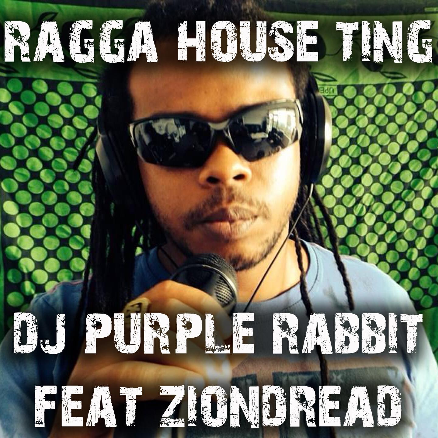 DJ Purple Rabbit - Ragga House Ting (Beast Mode Engaged Remix)