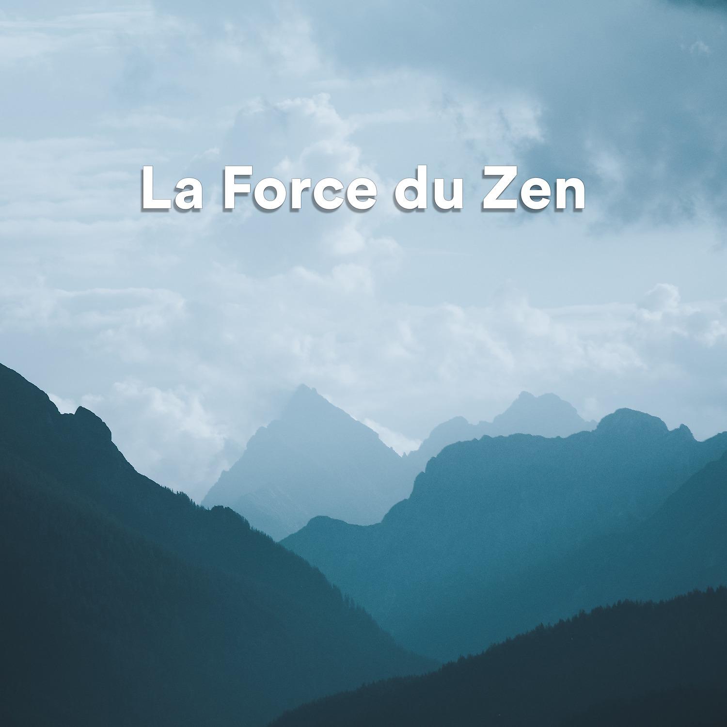 Постер альбома La force du zen
