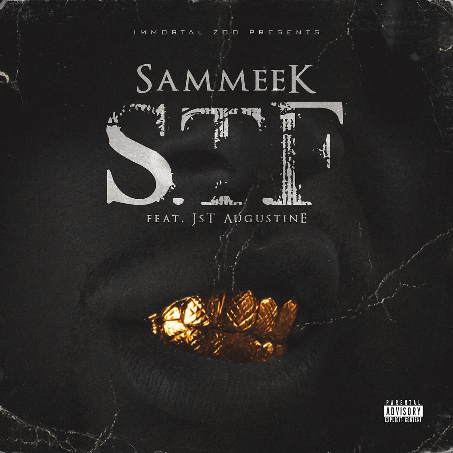 Sammeek - STF