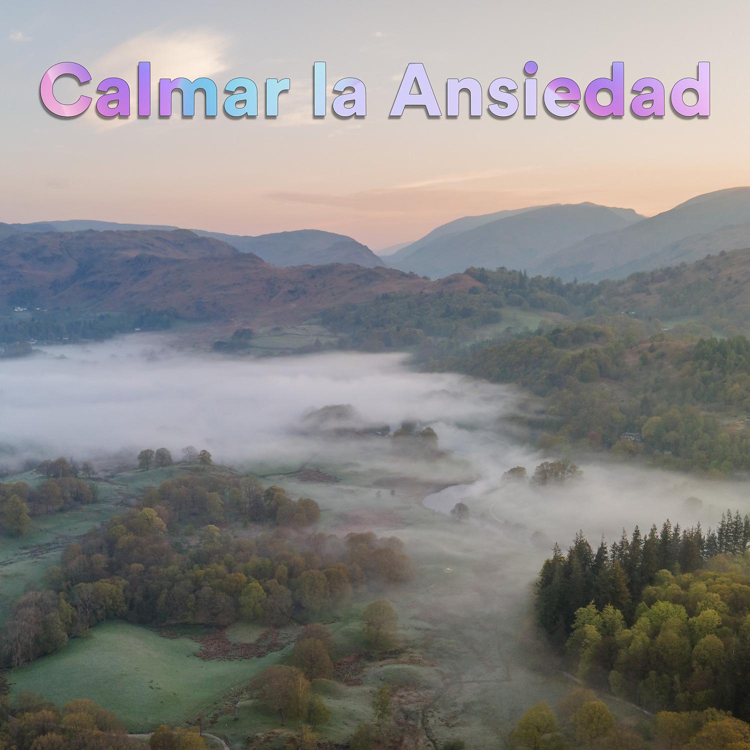 Постер альбома Calmar la Ansiedad