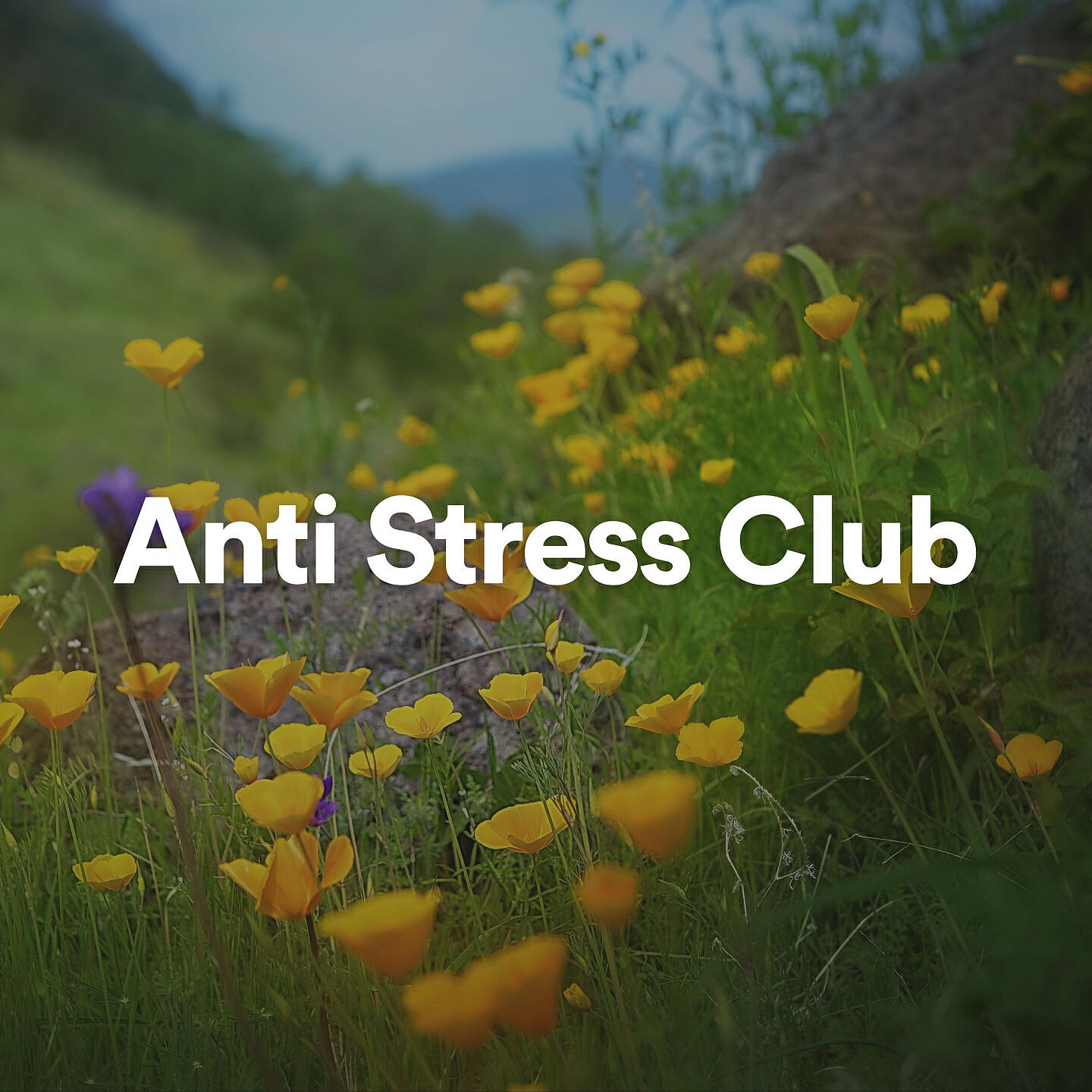 New Age Anti Stress Universe - Anti Stress Club, Pt. 3