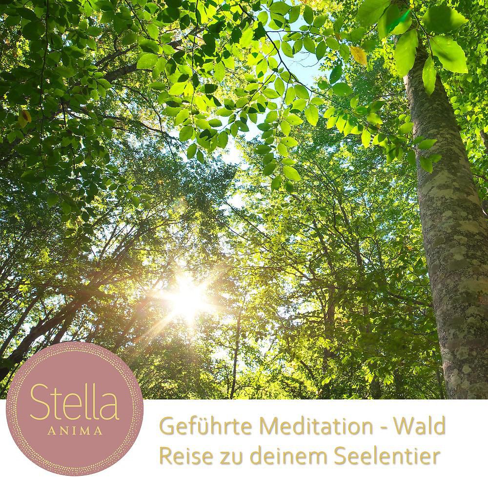 Постер альбома Geführte Meditation - Reise zu deinem Seelentier
