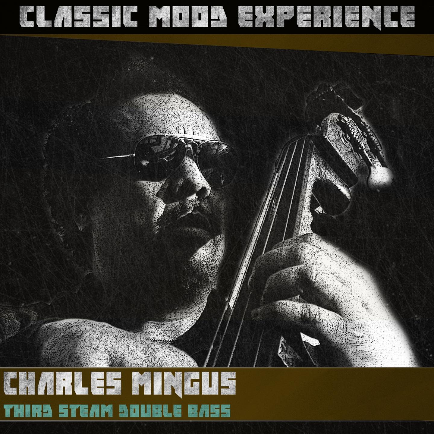 Постер альбома Third Steam Double Bass (Classic Mood Experience)