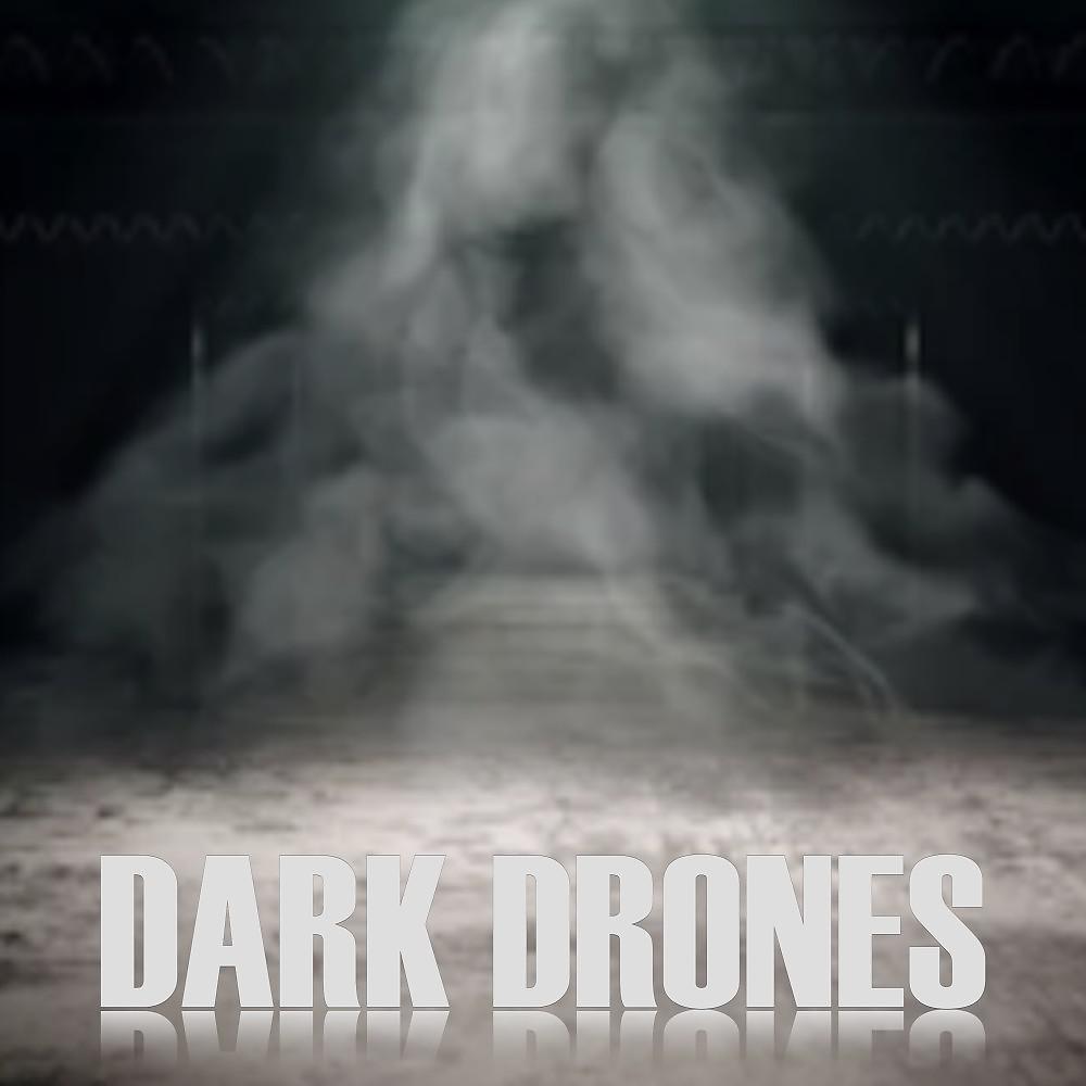 Постер альбома Dark Drones