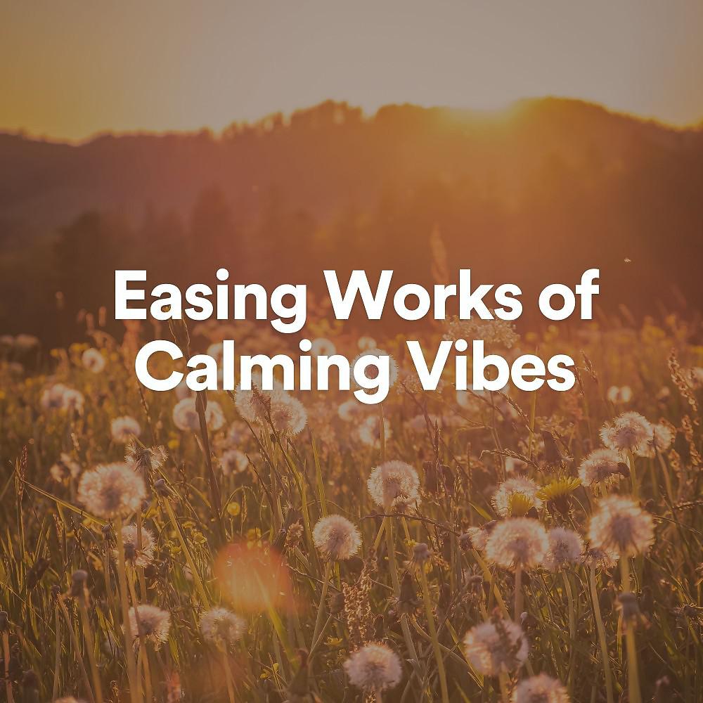 Постер альбома Easing Works of Calming Vibes