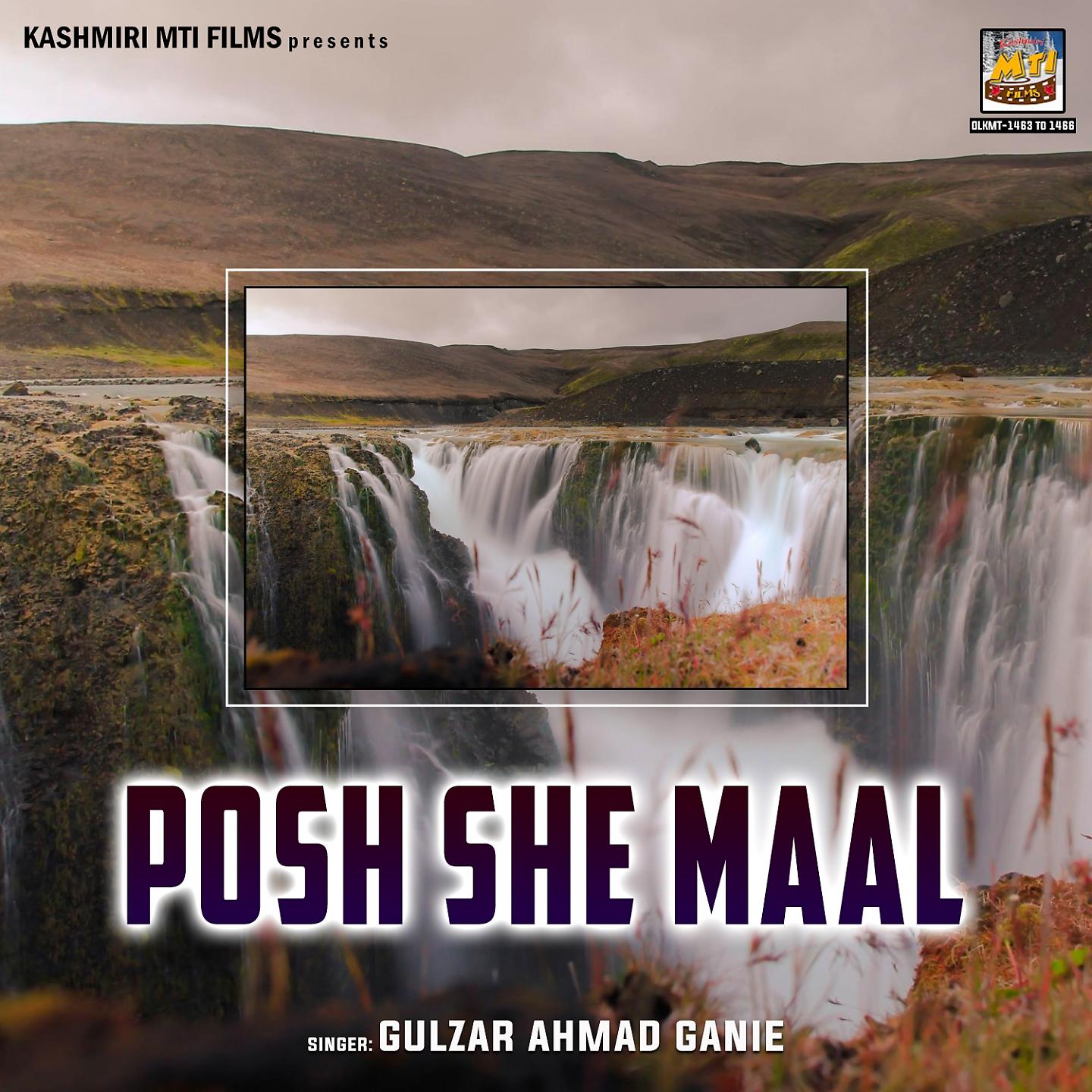 Постер альбома Posh She Maal