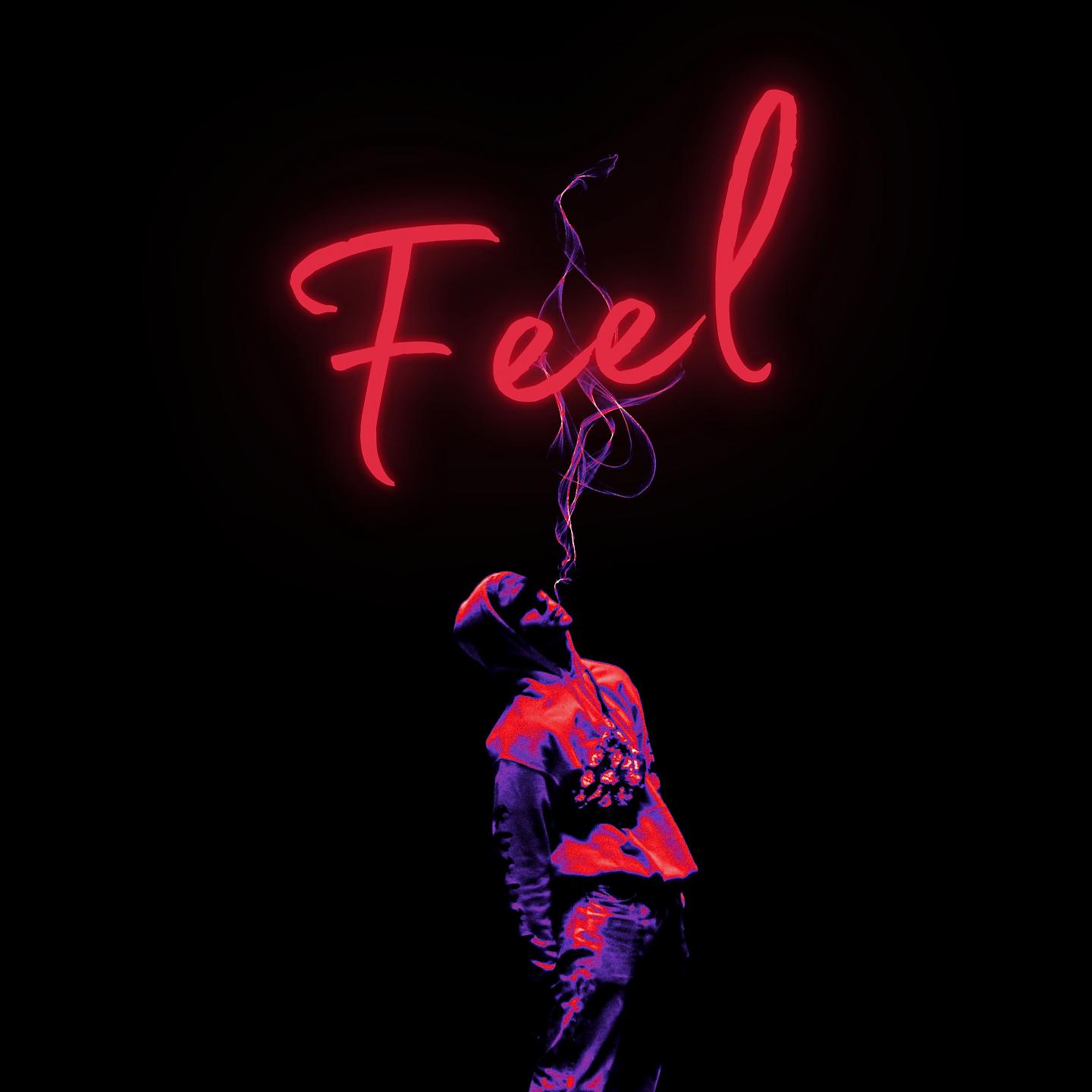 Постер альбома Feel