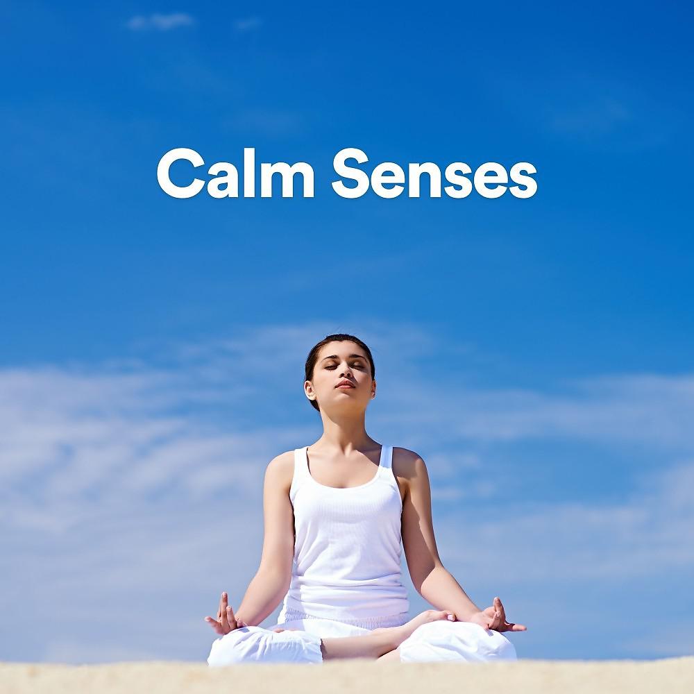 Постер альбома Calm Senses