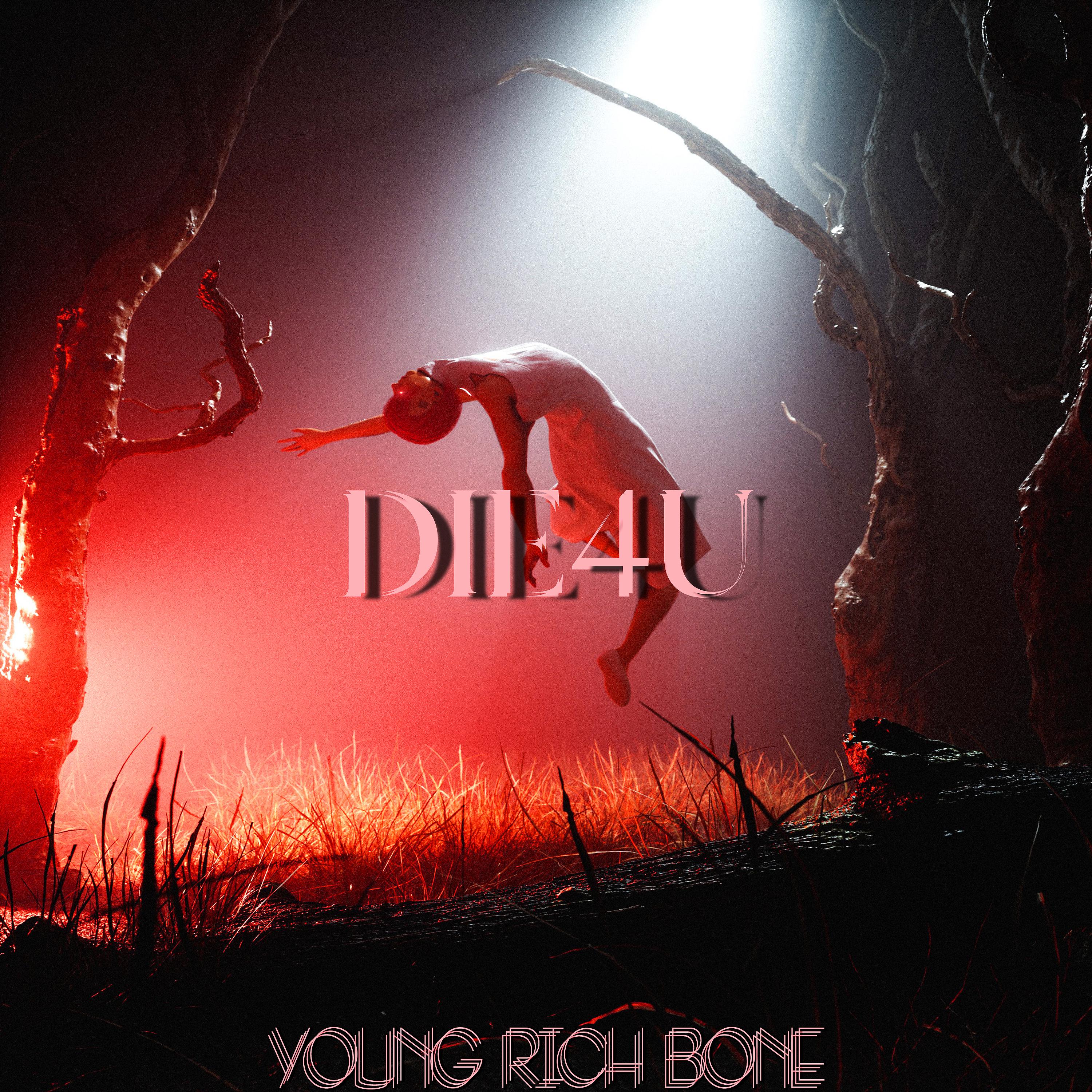 Постер альбома Die4u