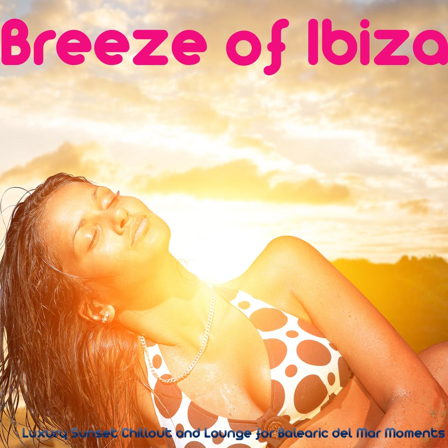 Постер альбома Breeze of Ibiza