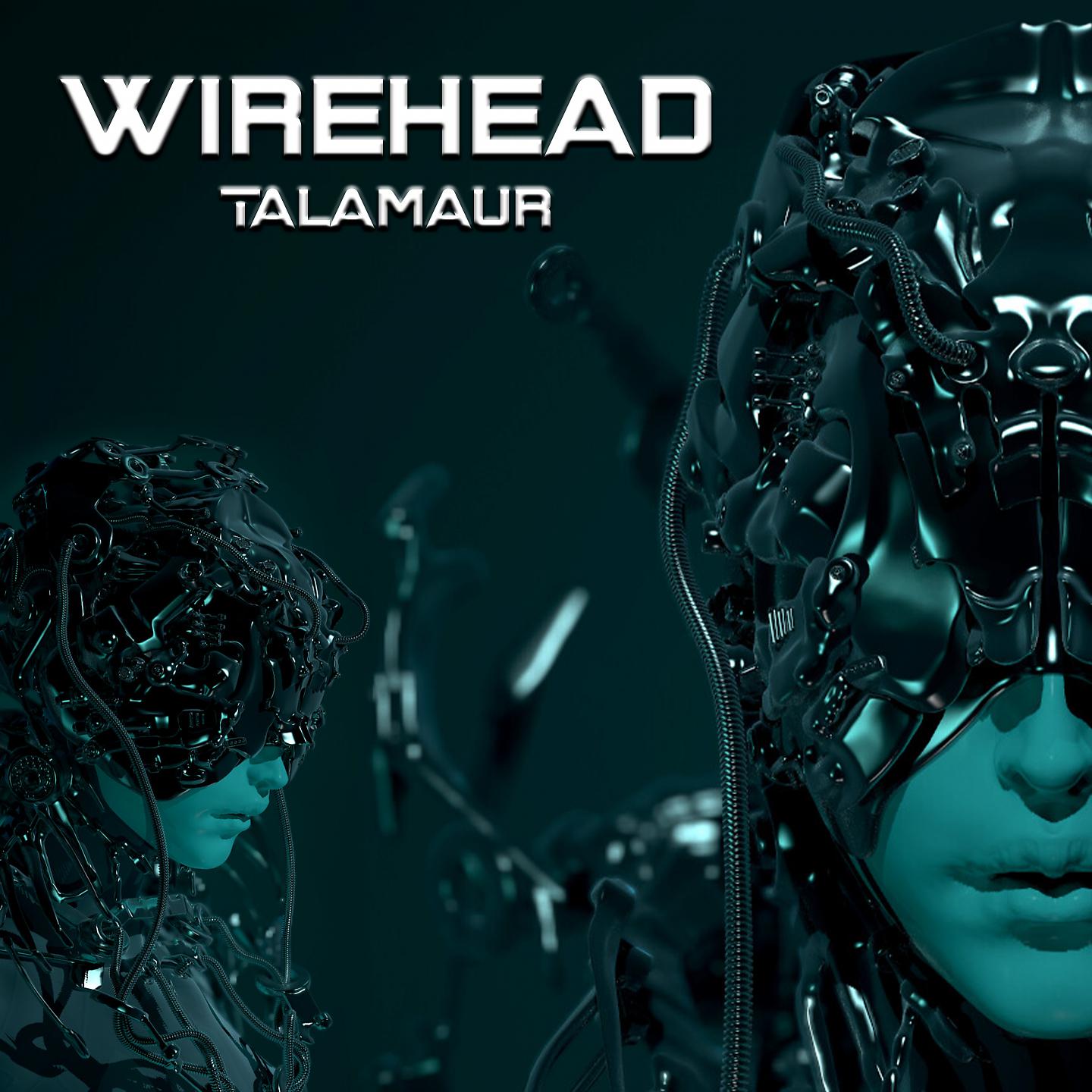 Постер альбома Wirehead