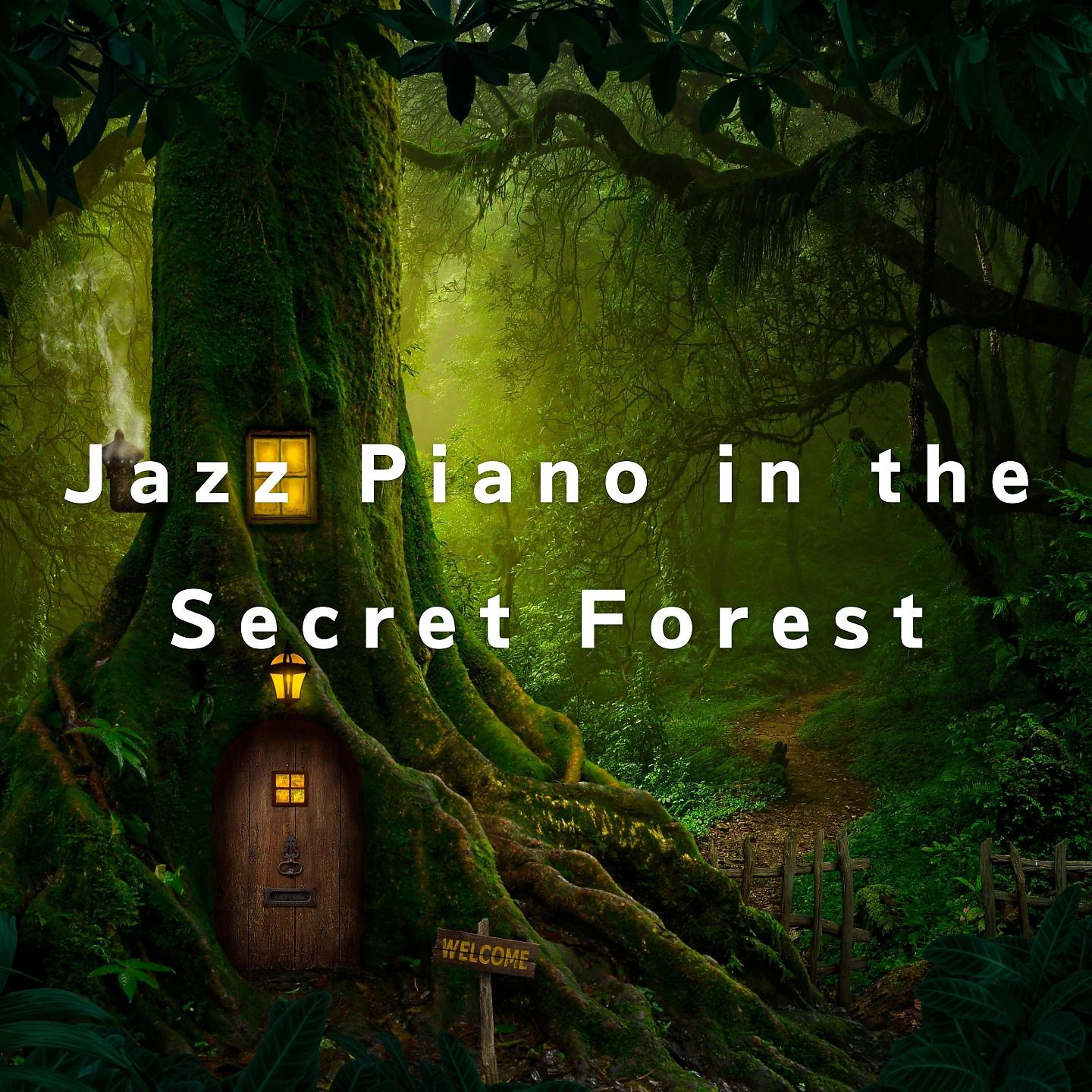 Постер альбома Jazz Piano in the Secret Forest