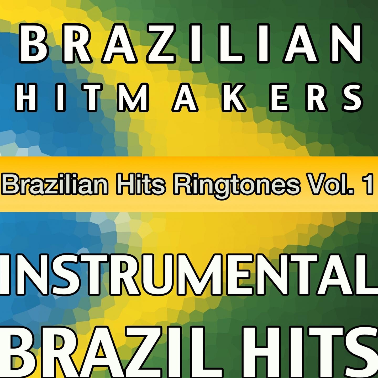 Brazilian HitMakers - Que Se Dane o Mundo (In the Style of Adair Cardoso)