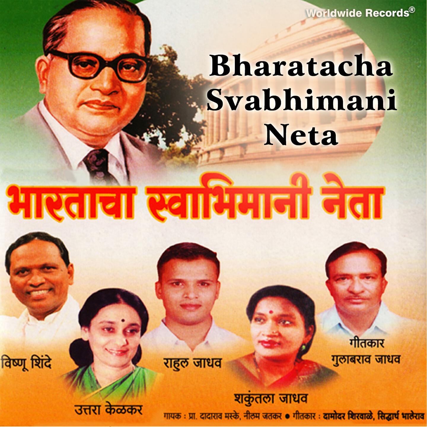 Vishnu Shinde - Pannas Varsh Zala Dharmantarala
