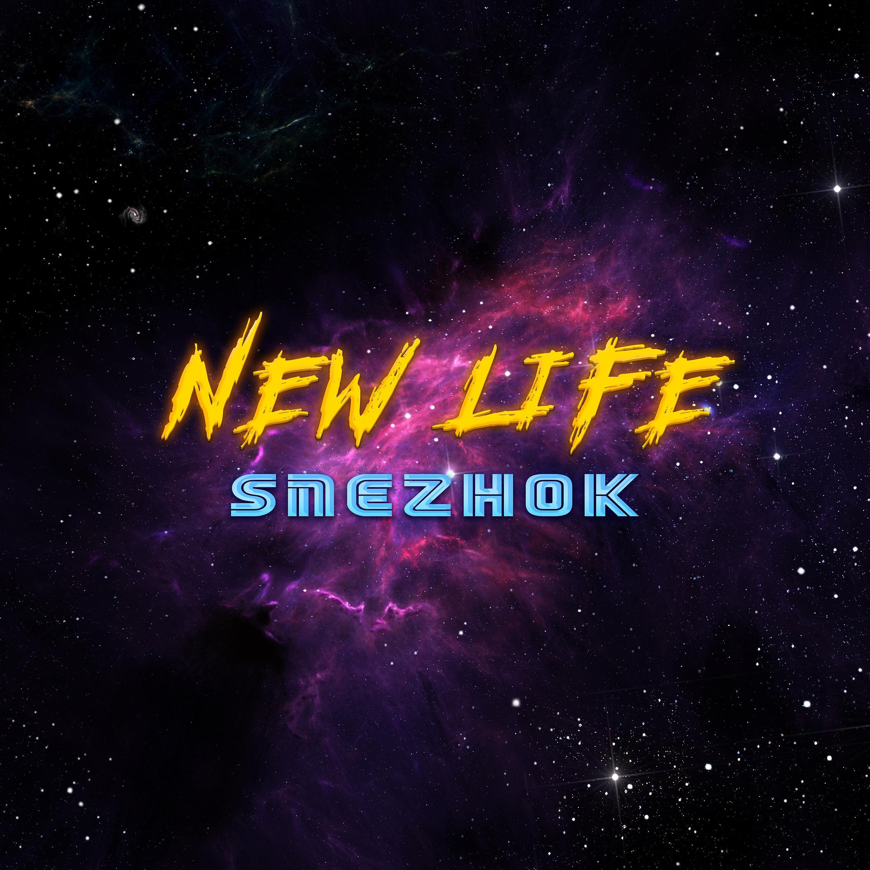 Постер альбома new life