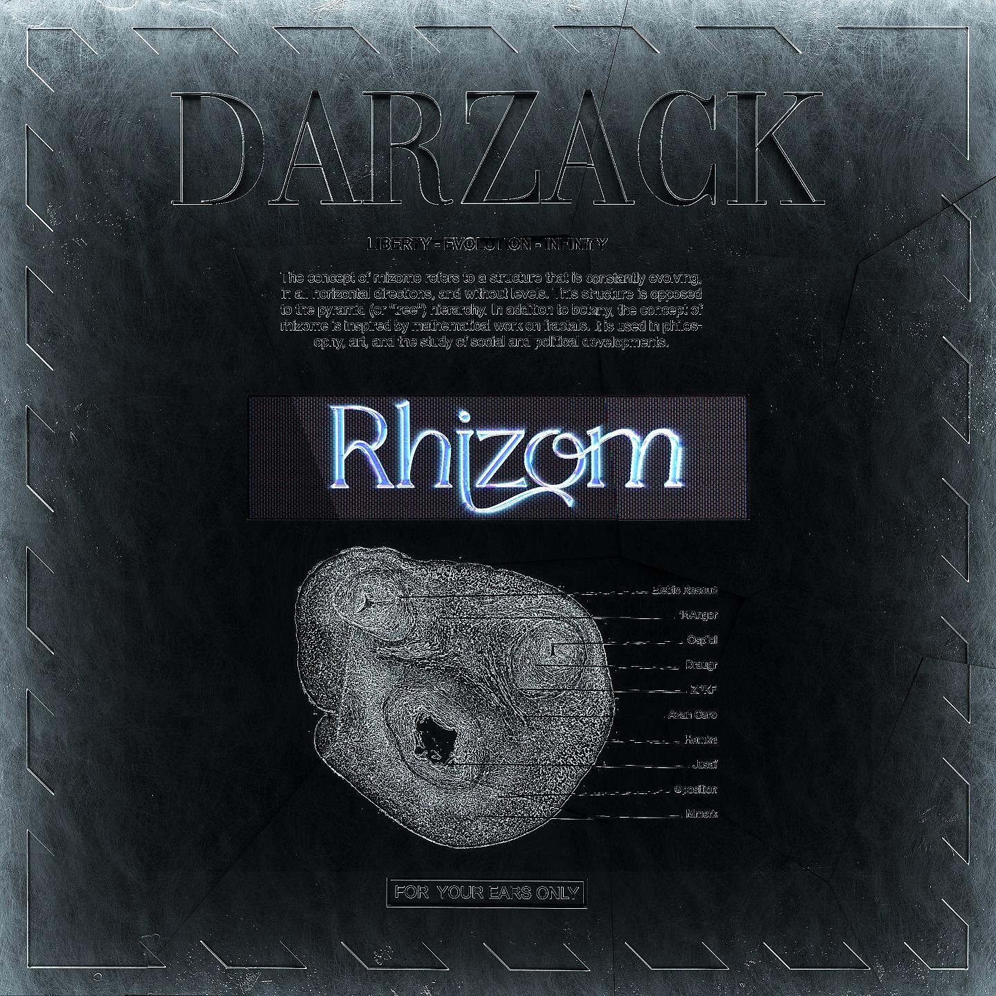 Постер альбома Rhizom