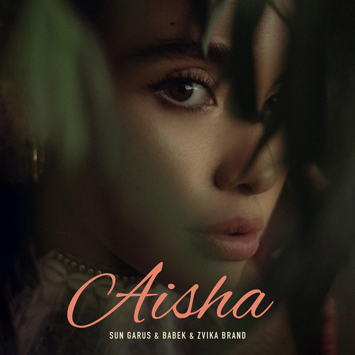 Zvika Brand - Aisha