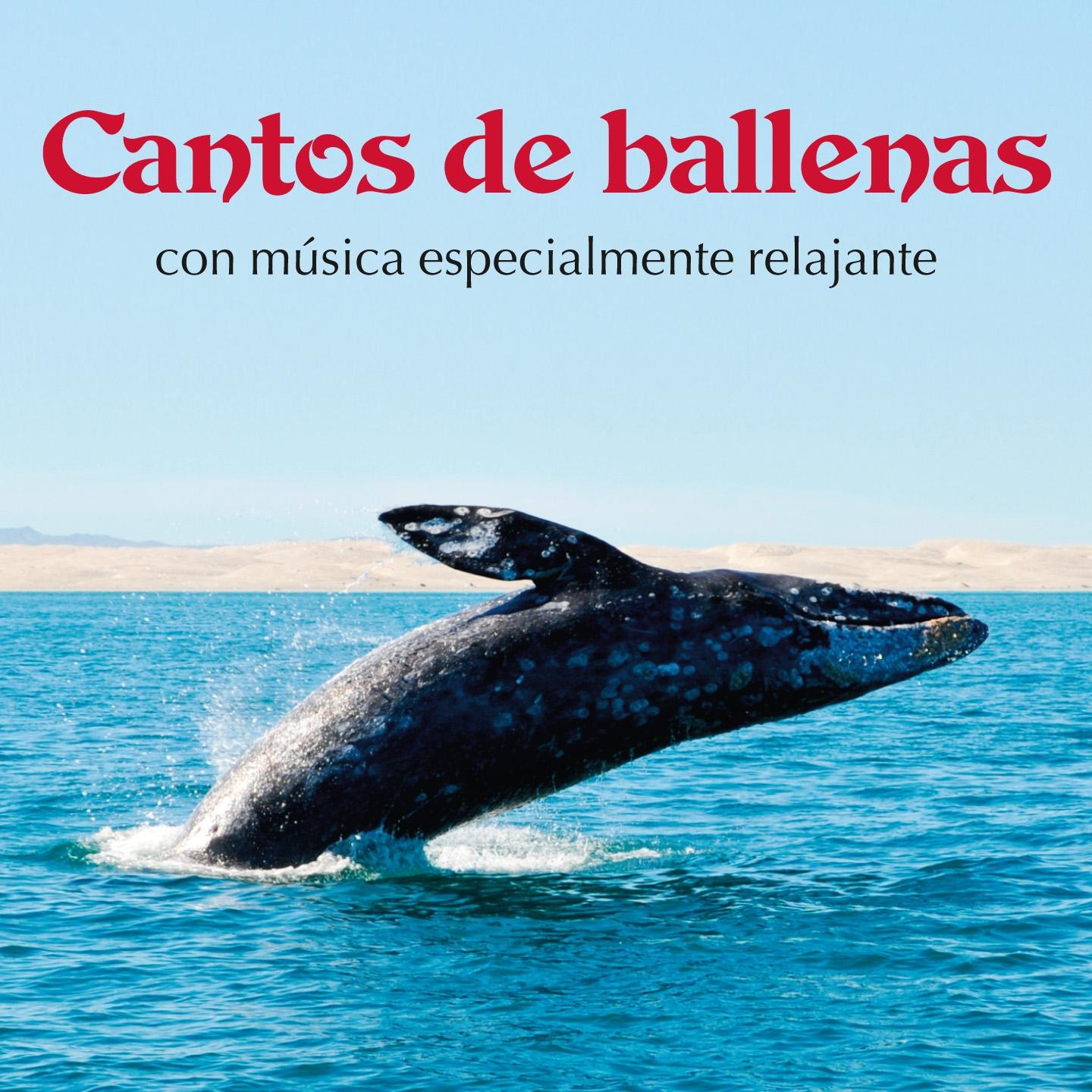 Постер альбома Cantos de Ballenas Con Música Especialmente Relajante
