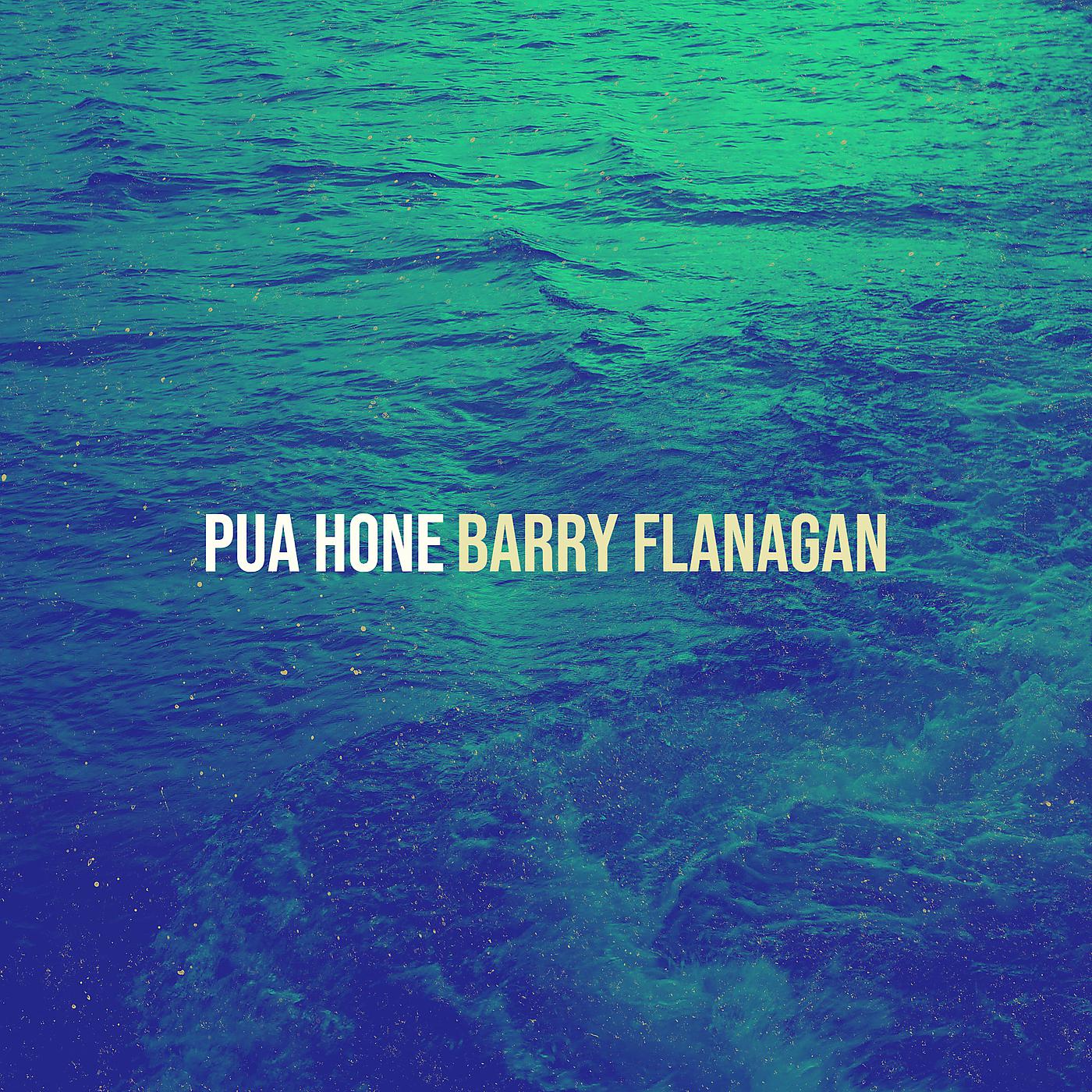Постер альбома Pua Hone
