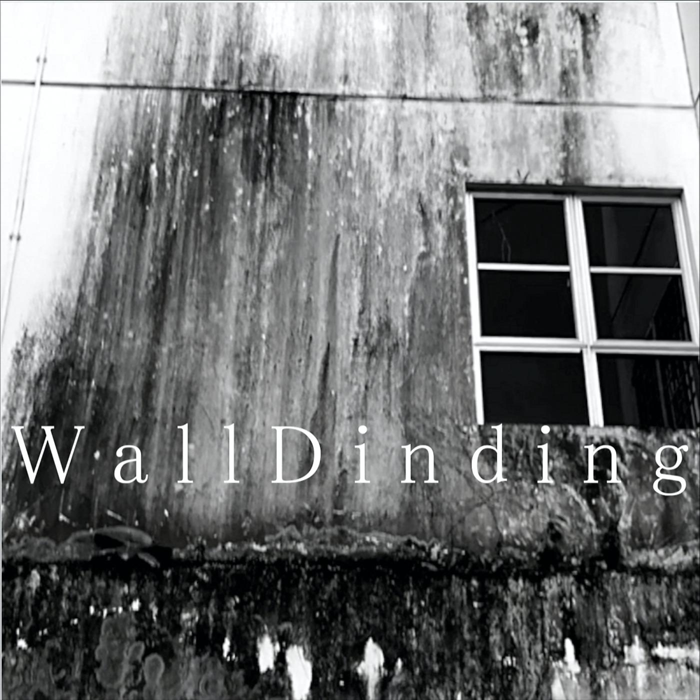 Постер альбома WallDInding