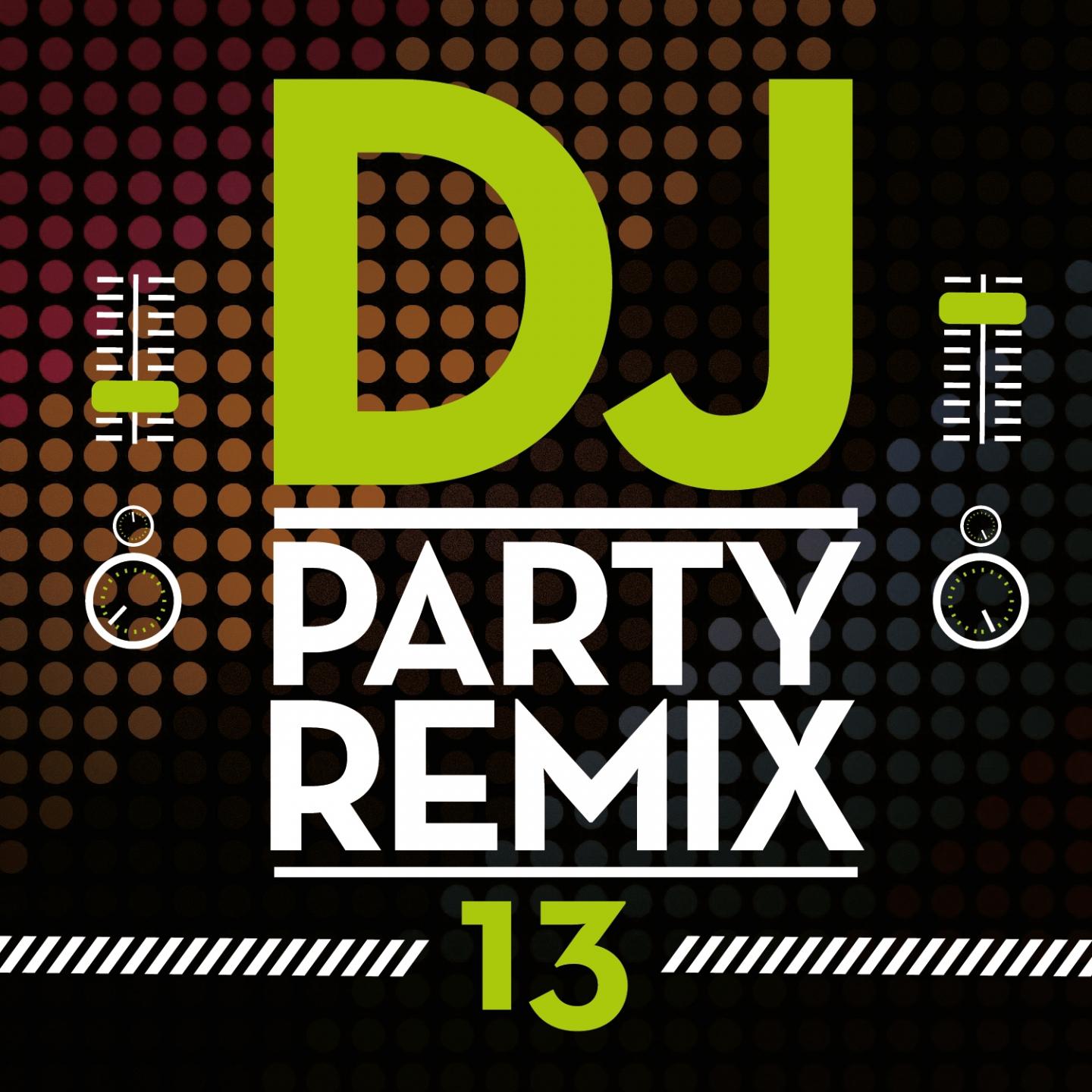 Постер альбома DJ Party Remix, Vol. 13