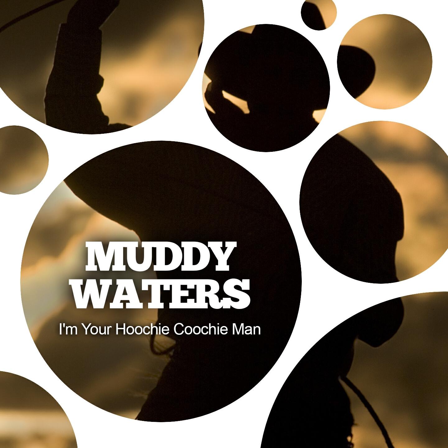 Muddy Waters - Mopper's Blues