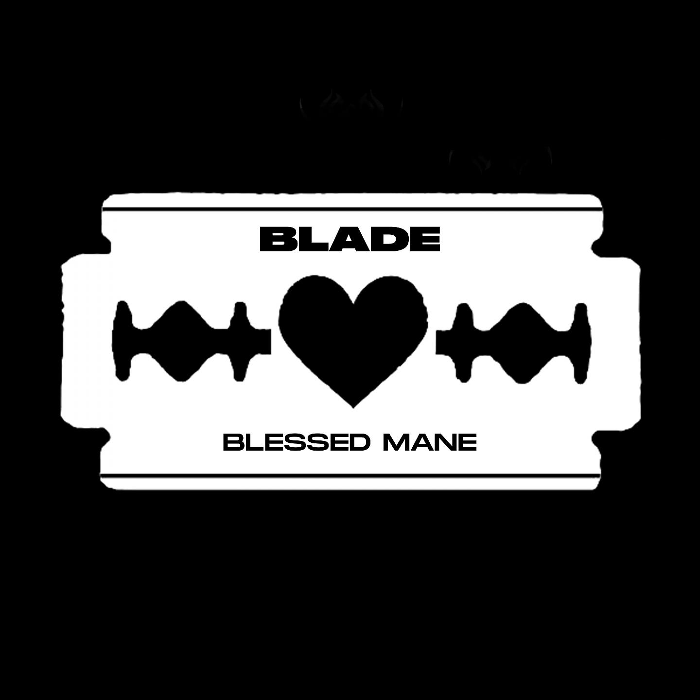 Постер альбома Blade