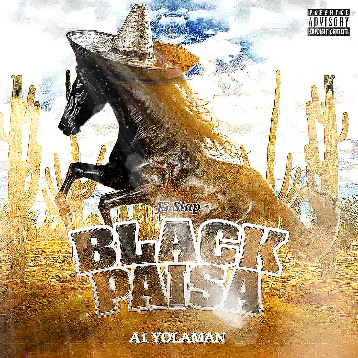 Постер альбома Black Paisa