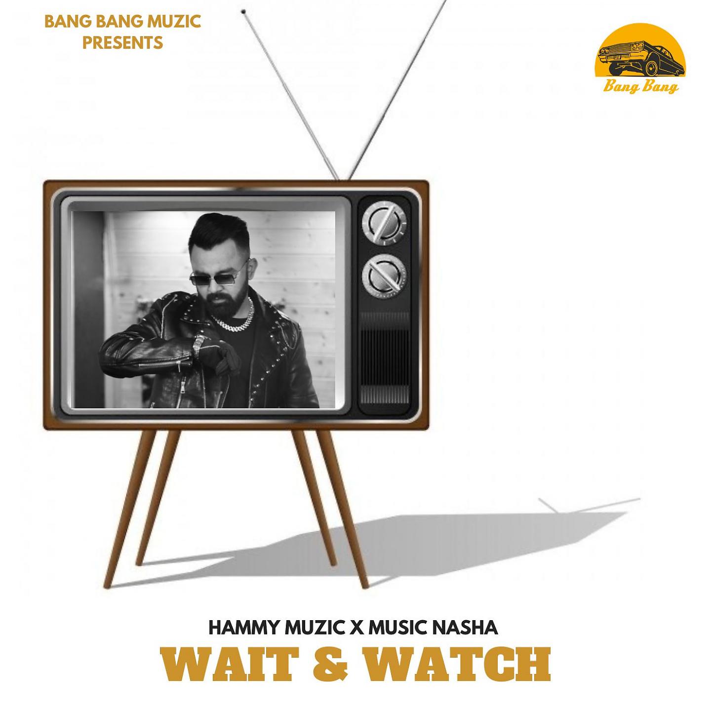 Постер альбома Wait & Watch