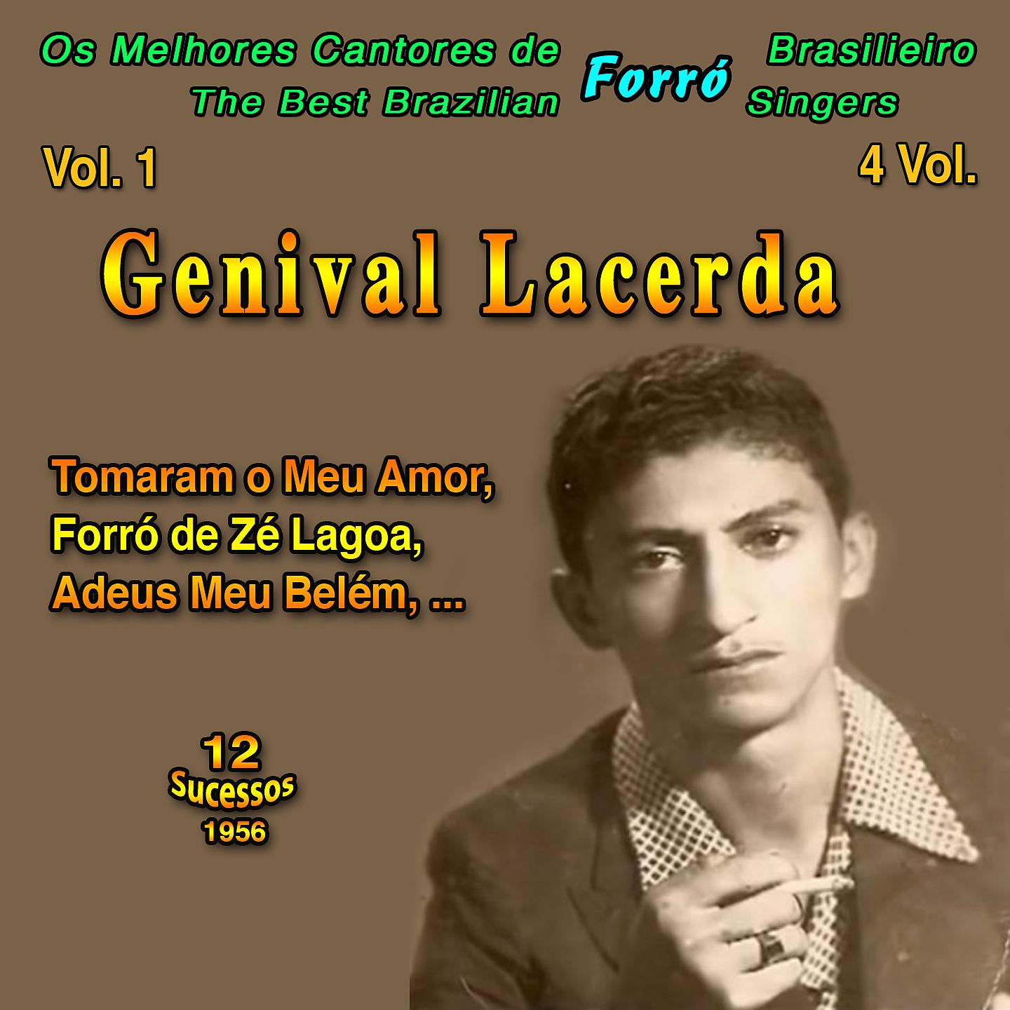 Постер альбома Os Melhores Cantores de Forro Brasileiro (The Best Brazilian Forro Singers) - 4 Vol.