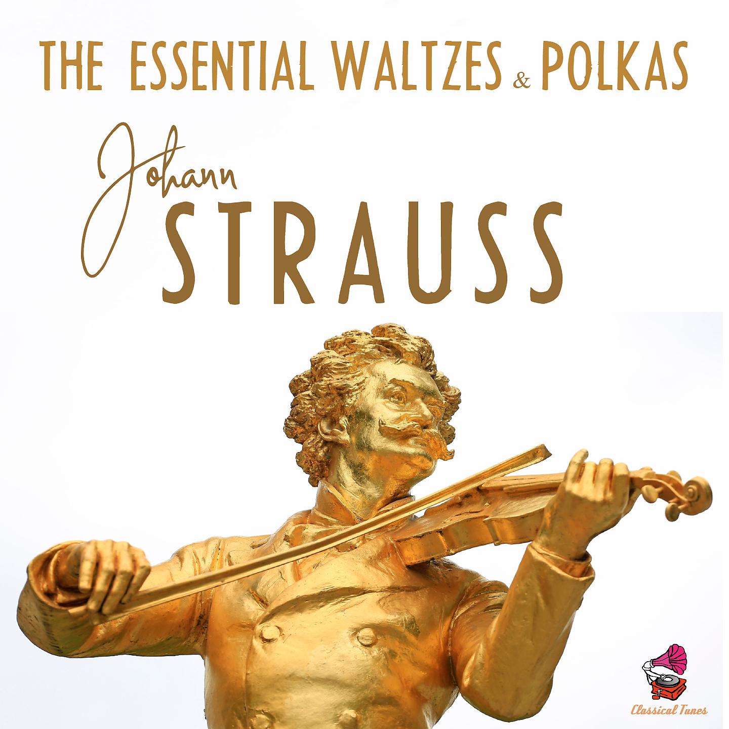 Постер альбома Johann Strauss