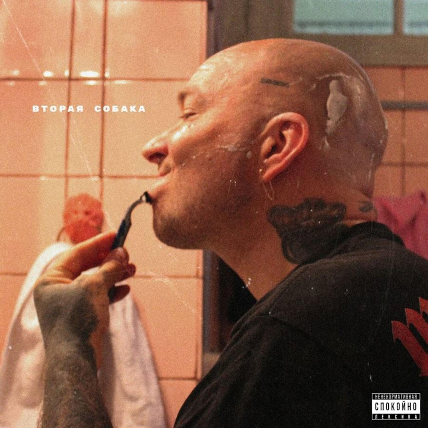 дима бамберг - вторая собака (feat. Шура Кузнецова)