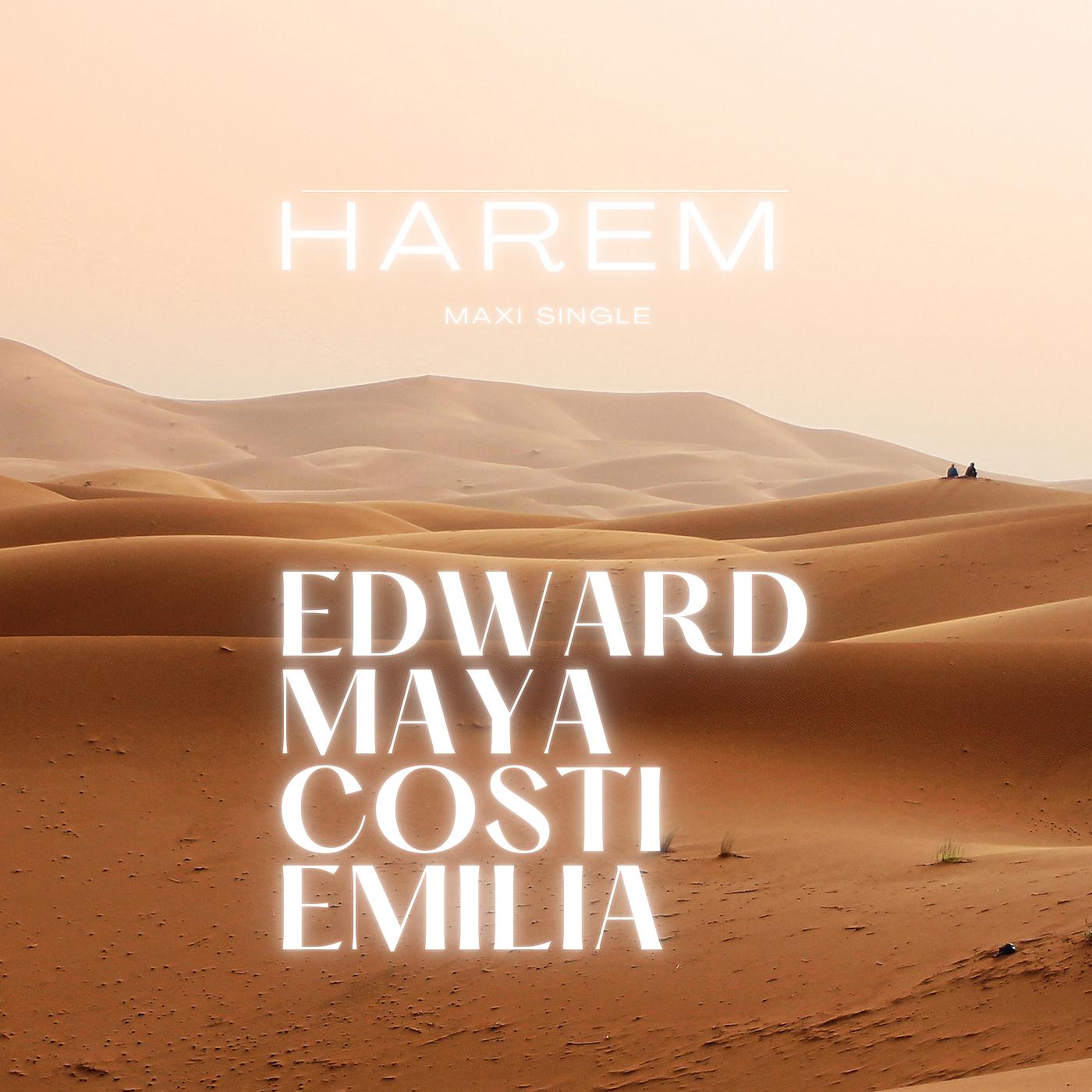Постер альбома Harem (Maxi Single)