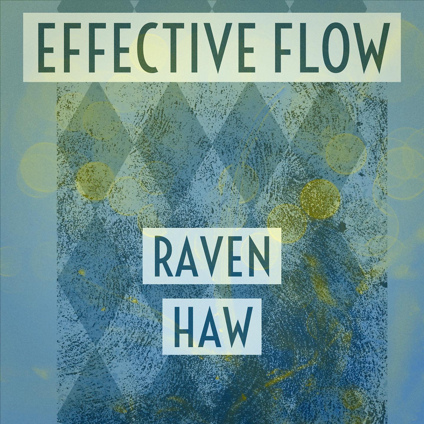 Постер альбома Effective Flow