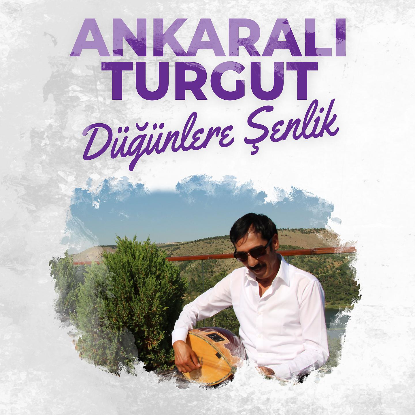 Постер альбома Düğünlere Şenlik