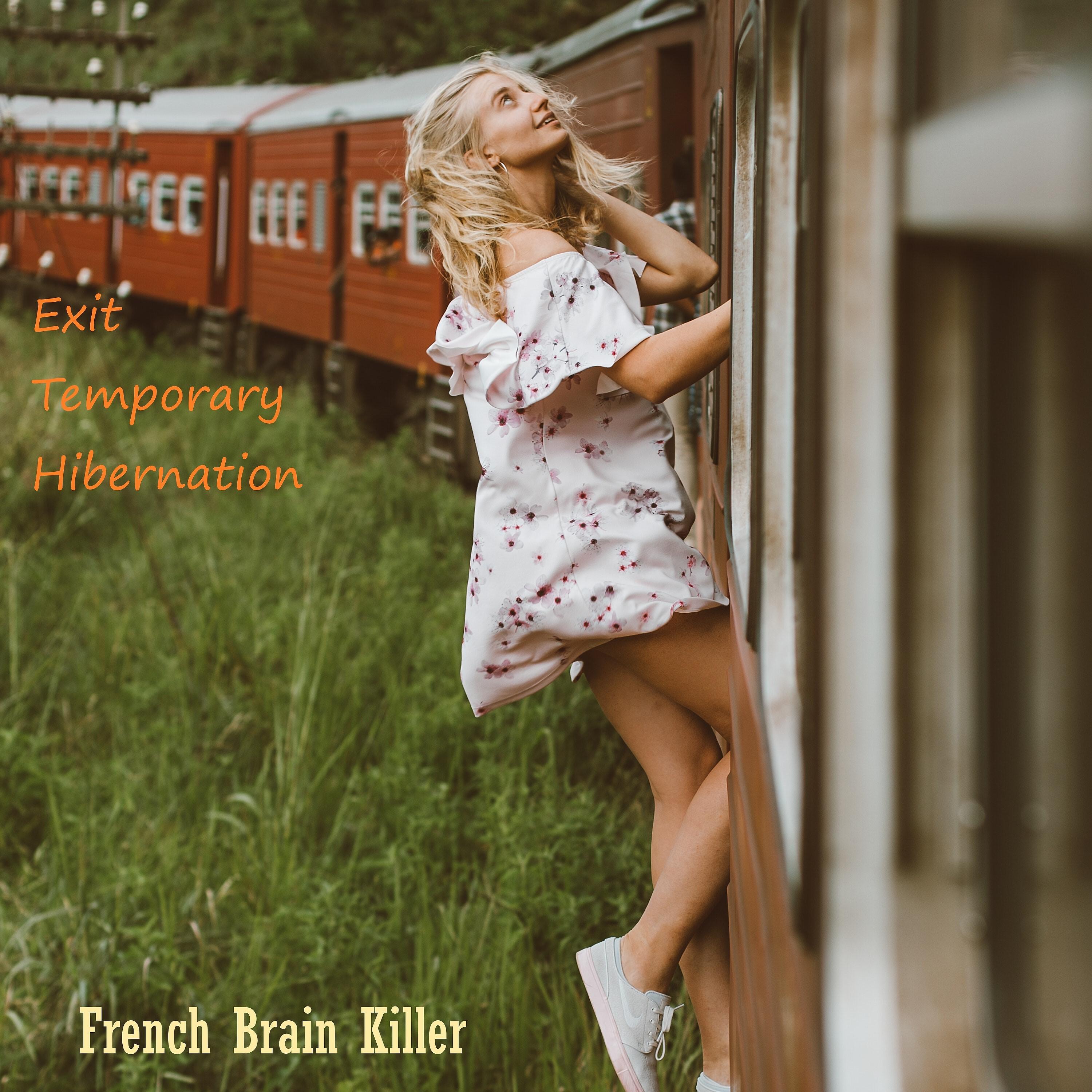 French Brain Killer - Panel on the Wall