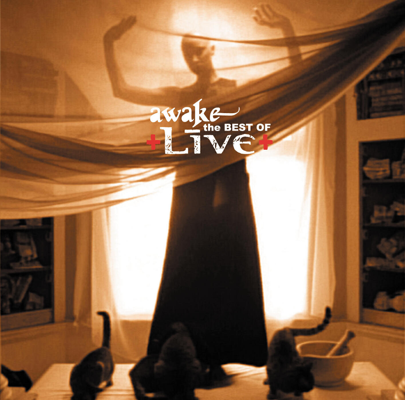 Live - Turn My Head (Album Version)