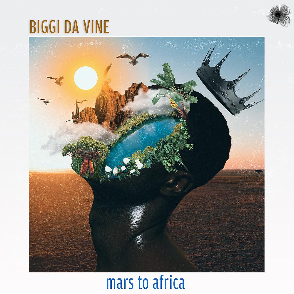 Постер альбома Mars To Africa