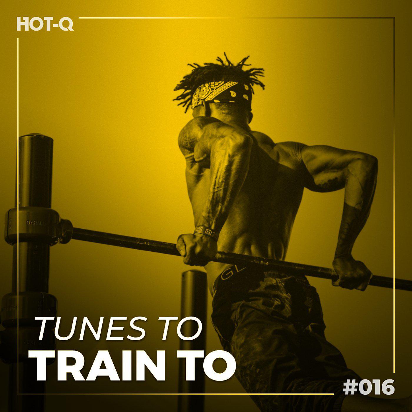 Постер альбома Tunes To Train To 016
