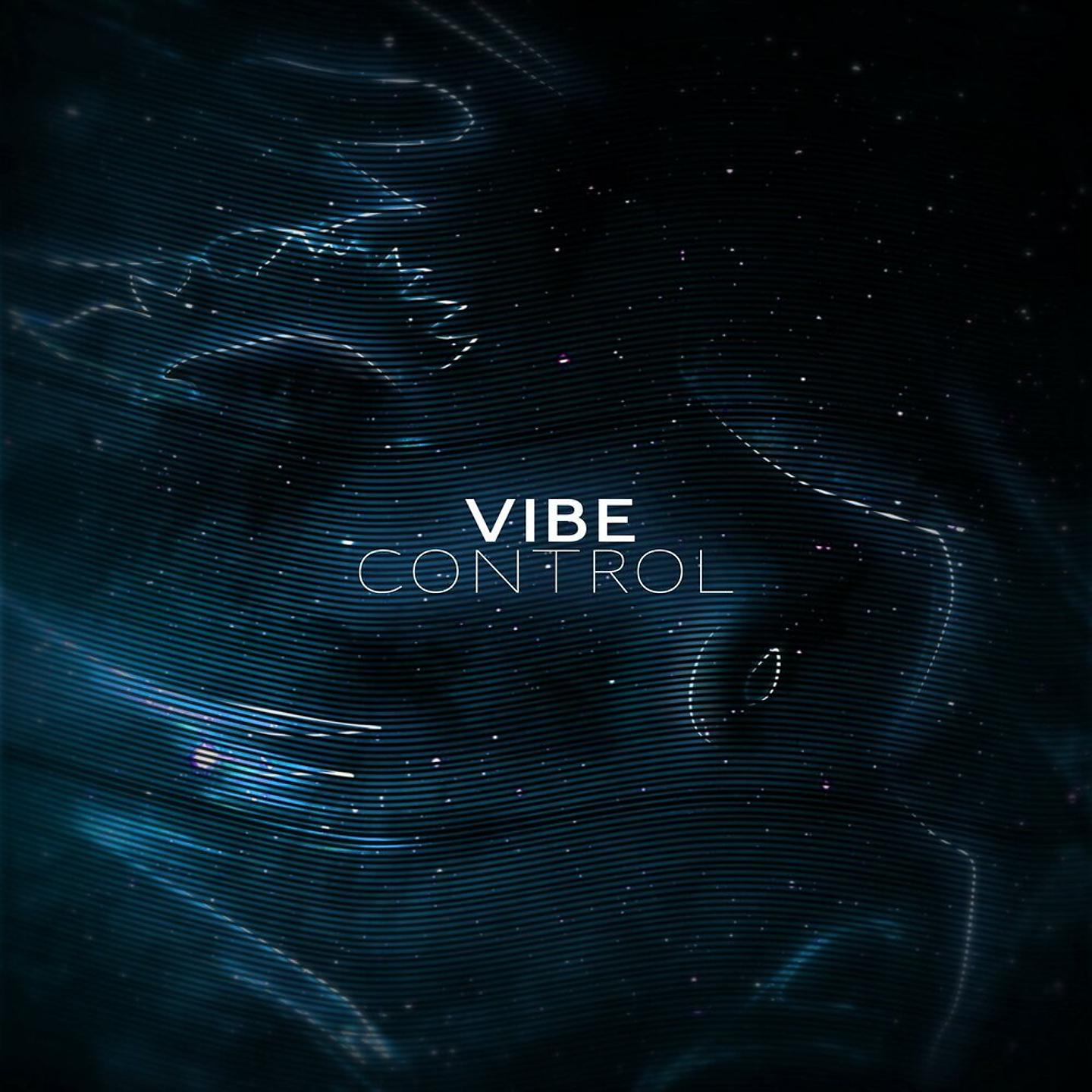 Постер альбома VIBE CONTROL