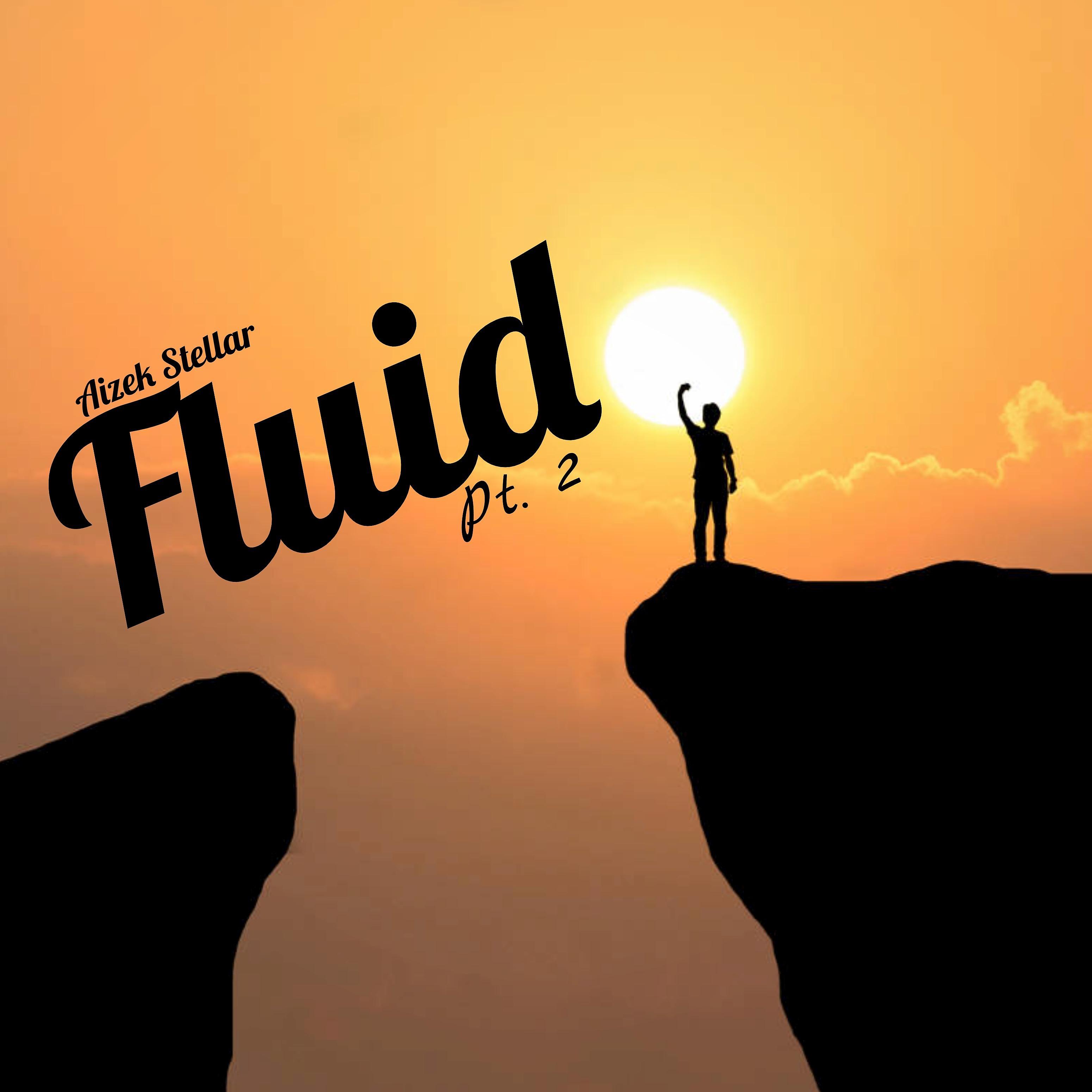 Постер альбома Fluid, Pt. 2