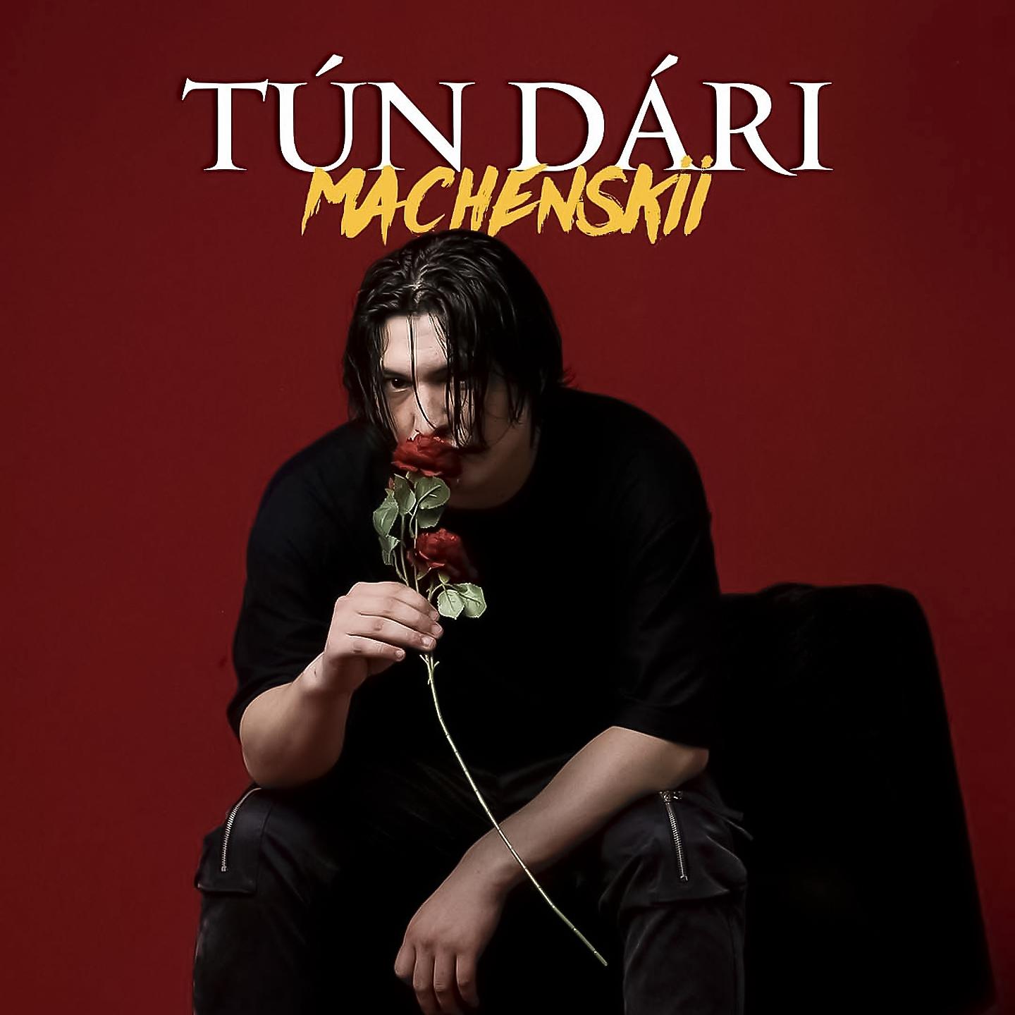 Постер альбома TÚN DÁRI