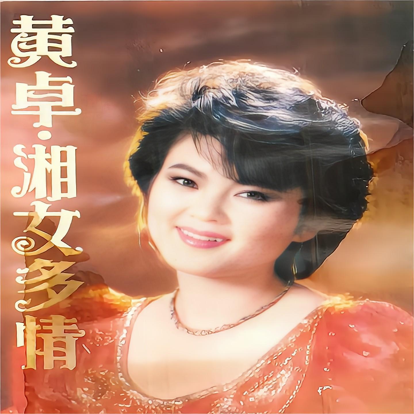 Постер альбома 湘女多情